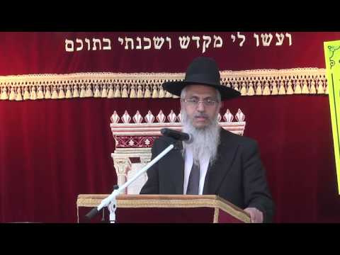 מלאכת המפשיט, המעבד, הממחק, המשרטט והמחתך | הלכות שבת | הרב יורם סרי