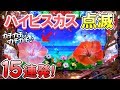 ハイビスカスが光る！点滅集まとめ！15連発！海物語 IN 沖縄4 with アイマリン 甘デジ 沖甘4