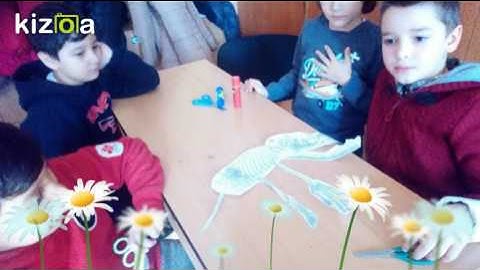 Kizoa Movie - Video - Slideshow Maker: Science in my class