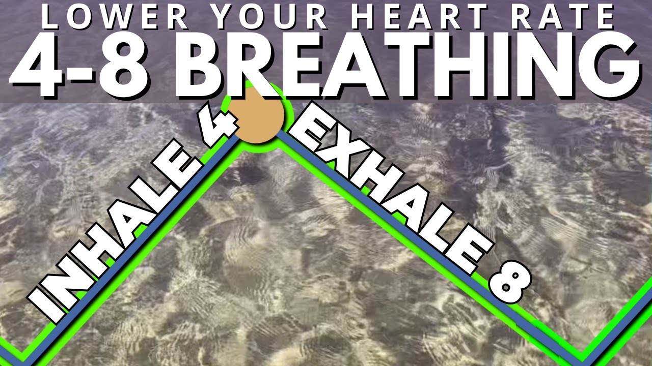 4-8 Breathing to Lower Heart Rate - YouTube