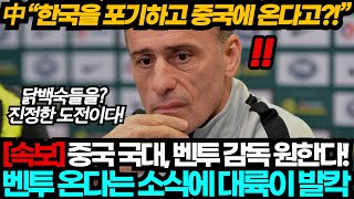 [중국반응] 중국 축구대표팀 벤투 감독설에 중국이 난리난 이유