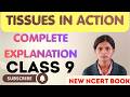 Tissues in Action Class 9 Science Chapter 3 Complete Explanation New NCERT Book