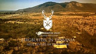 Bergbüffel in Tansania bei K&K Premium Jagd | Neue Reviere in Afrika