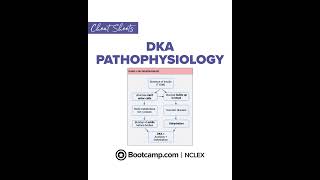 🩸 DKA Pathophysiology NCLEX Review | NCLEX Bootcamp Cheat Sheet