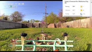 BIRD CAM 3-31-25