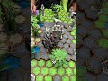 Heroscape worlds championship day 1 round 2 at Gencon! #Heroscape #Gencon2025