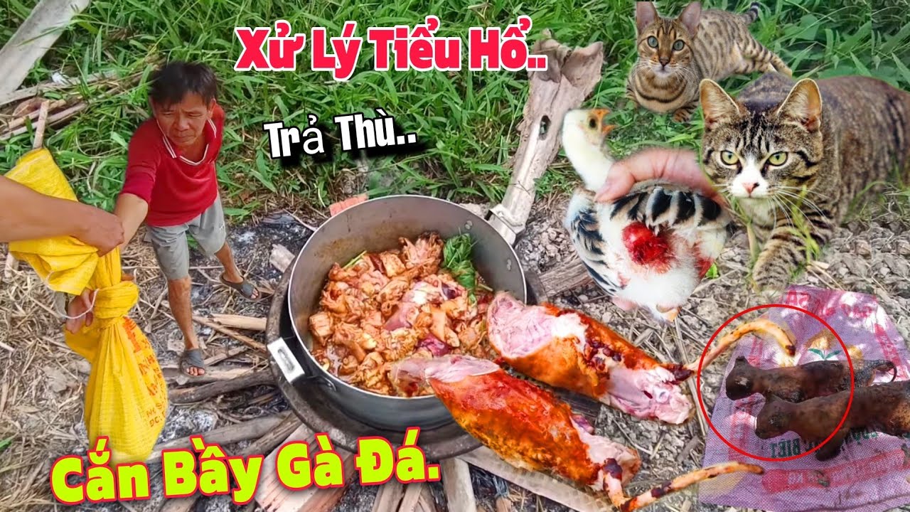 Xào Lăn Thơm Phức, Mần 2 Con Tiểu Hổ, Ăn Bầy G.à Đ.á Em Lộc. #uttaituvlog#Mùa Lúa