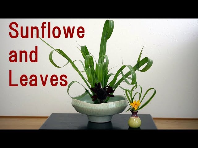 生け花】花一輪でも大丈夫！【ikebana】葉っぱでボリューム