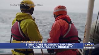 Alaska Pollock Industry Brought 832 Million Dollars to Alaska’s Economy in 2023, Studies Shows