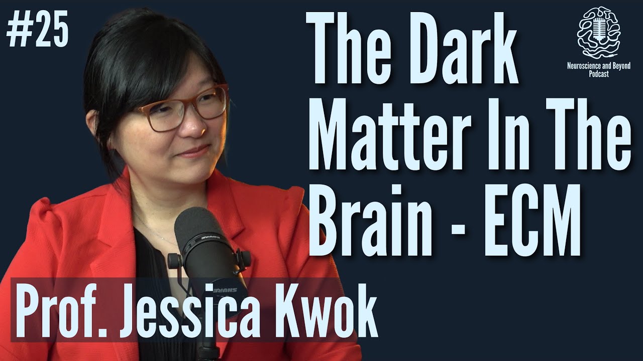 The Brain’s Dark Matter: Exploring the Extracellular Matrix | Prof. Jessica Kwok