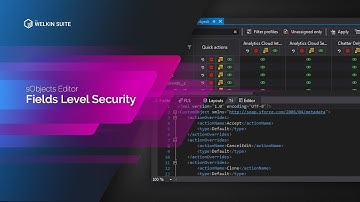 Field-Level Security in The Welkin Suite