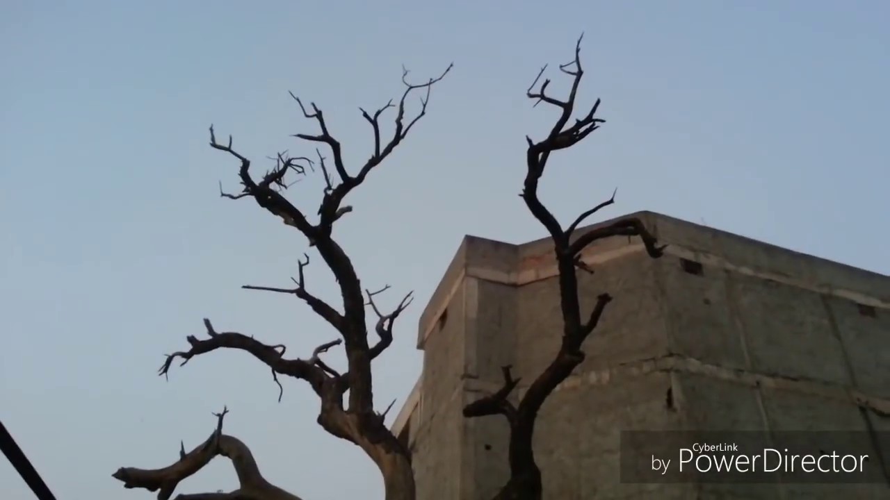 video phone beyonce mp3 अबुल उलहा की दरगा आगरा |Abul Ula Ki Dargah