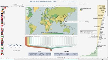 Integrasi Data Pandemi & Food Stability dengan Tableau Analytics by Dr. Harry Patria ~ Patria & Co.