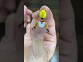 【LEGO】ミニフィギュアシリーズ23トナカイ