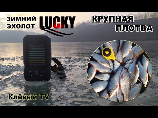 Зимовий ехолот Лаки знайшов велику плотву