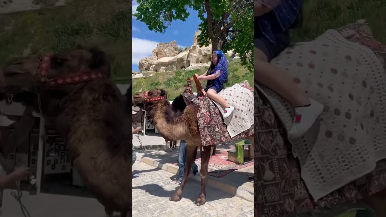 First 🐫 ride experience 