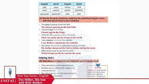 NSS Grade 07 English Chapter 02 Part 05