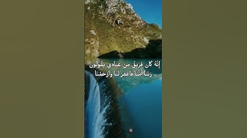 تلاوة جميلة ومريحة بصوت القارئ وليد مهساس #اكسبلور #المصحف #حالات_واتس #الجزائر