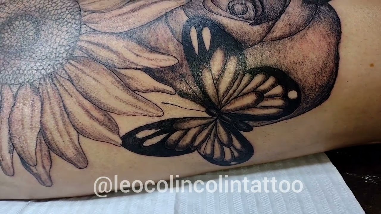 Veja linda Tatuagem de Girassol tatuagens de borboletas