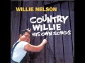 Willie Nelson Funny How Time Slips Away 