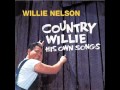 Willie nelson  funny how time slips away