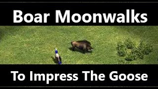 Boar Moonwalks to Impress the Goose - Age of Empires 2 DE Funny Video