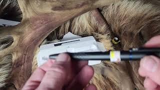 O LIGHT OPen3 Review
Support on Patreon: https://www.patreon.com/AlaskanBallistics
BlackBeardFire Starters Discount Code Alaskan
https://blackbeardfire.com/collections/top-sellers O LIGHT OPen3 Review