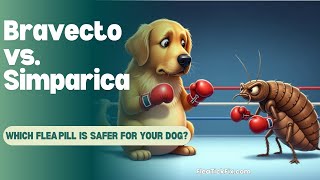 Bravecto Vs. Simparica Which Pill Is Safer For Your Dog?