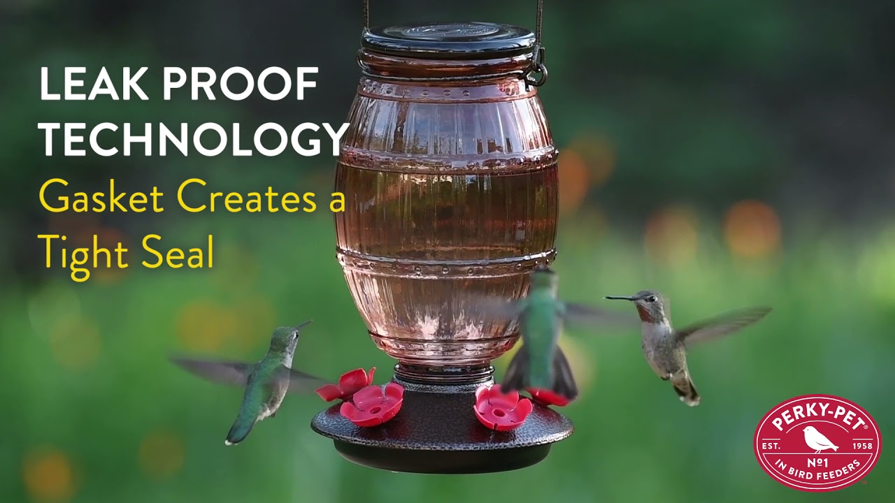 PerkyPet® Prohibition TopFill Glass Hummingbird Feeder Benefits