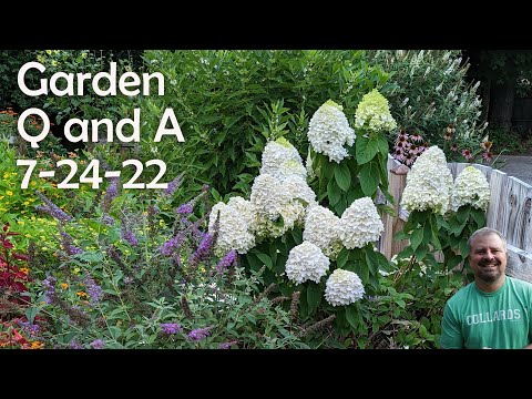 Great Garden Questions - Internet Non-sense, How the sun moves across my garden - 7-24-22