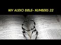 NUMBERS 22 NIV AUDIO BIBLE With Text NUMBERS 22 NIV AUDIO BIBLE With Text