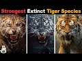 6 Most Powerful Extinct Tiger Species