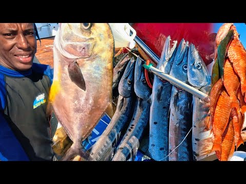 Today we made history spearing over 1000 pounds of Fish in a single day