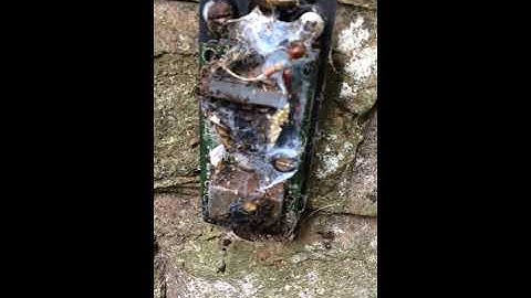 PHOTOCELL SERVICE OVERDUE