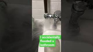 Oops I Flooded A Bathroom