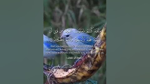 سورة آل عمران من 141 الى 145