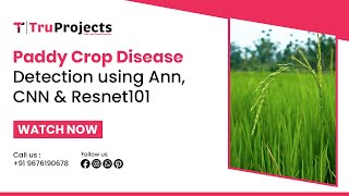 Paddy Crop Disease Detection using Ann, CNN & Resnet101   FINAL YEAR PROJECTS FOR BTECH STUDENTS