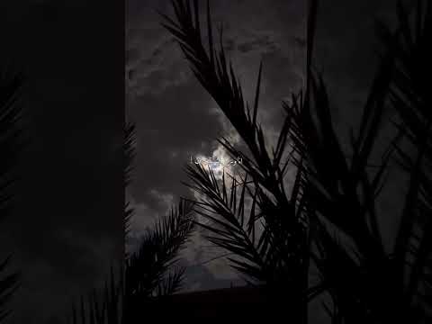 محمد الشويلعي في ذمتك ماشتقتلي بدون موسيقى ذوقي للناس الراقيه