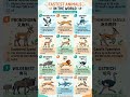 Fastest Animals
