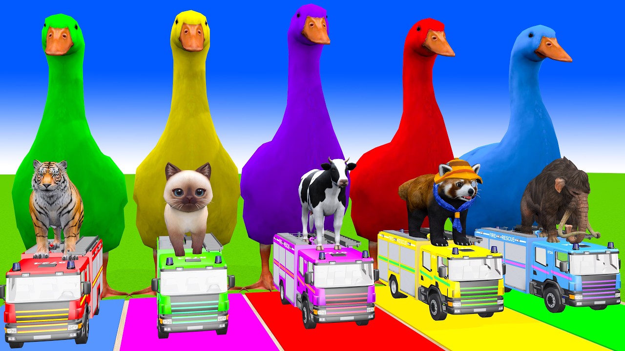 Long Slide Game With Cow Elephant Gorilla Hippopotamus Tiger 3d Animal Game Funny 3d Animals