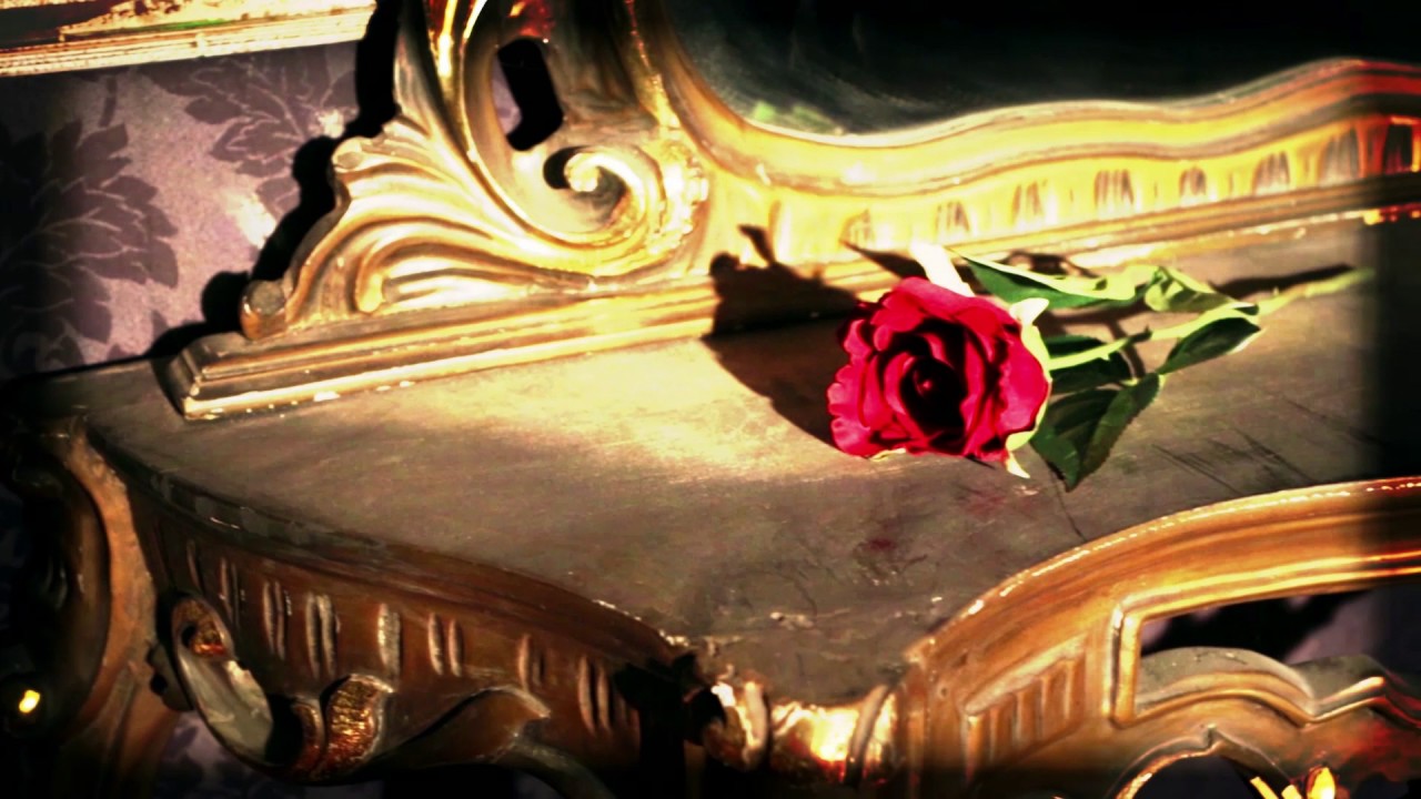 LIGHT & SHADE - Welcome The Cold (OFFICIAL VIDEO)