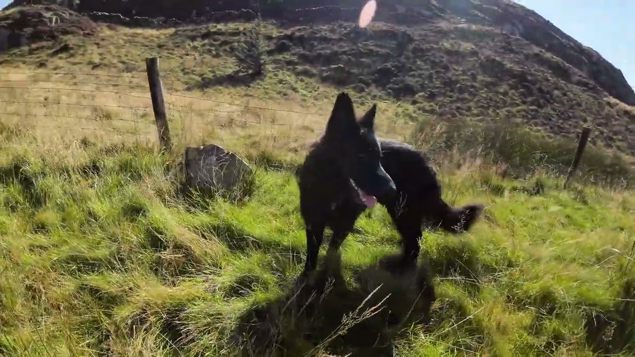 prince of wales quarry