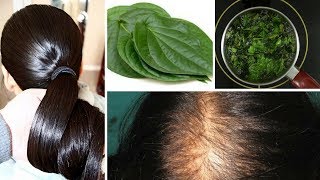 Ayurvedic Nuskha to Stop Hair fall immediately and grow new hair |100% effective | Rabia Skincare