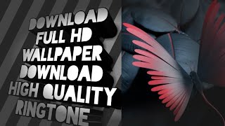 How to download full HD wallpaper \ How to download high quality ringtones /only MB / zedge screenshot 4
