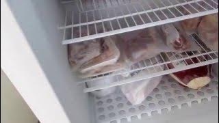 Frigidaire upright freezer review.