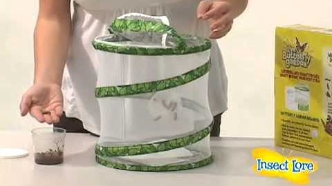 Insect Lore Butterfly Garden Instructions