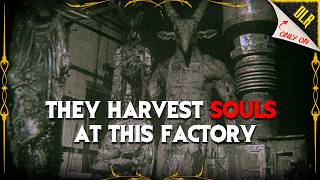 The Bellatoga Soul Farms