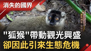 曾孕育上百種狐猴！"狐猴島"馬達加斯加因人類入侵已消逝數十種 物種保育成馬達加斯加難題之一│【消失的國界】20221004│三立新聞台