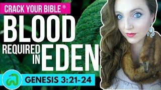 Why God requires death as payment for sin | Genesis 3:21-24