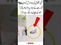 When Ants Form the Name of Allah#NameOfAllah #AntsMiracle #SignsOfAllah#islamicvideo #trending